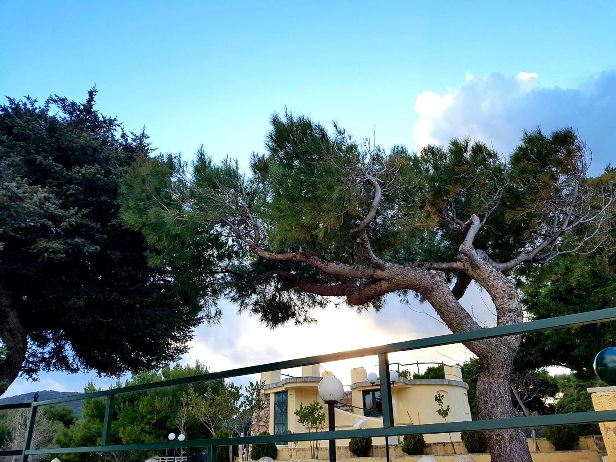 Country house Silis Houses On The Beach Artemida (Attica)